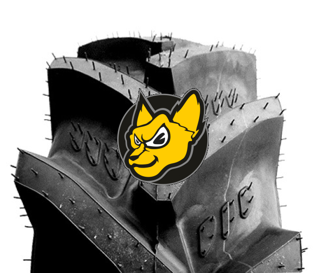 BKT Farm 2000 250/80 -16 8PR TT