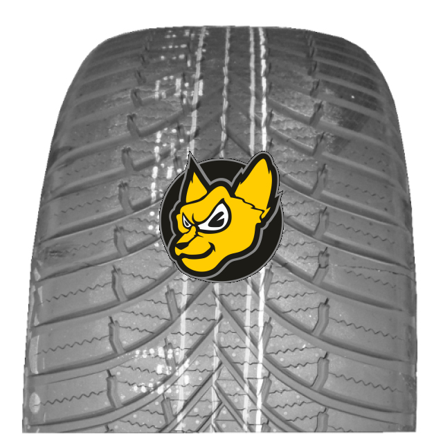 Firestone Multiseason 2 (GEN02) 225/60 R17 99V Celoro�n� M+S