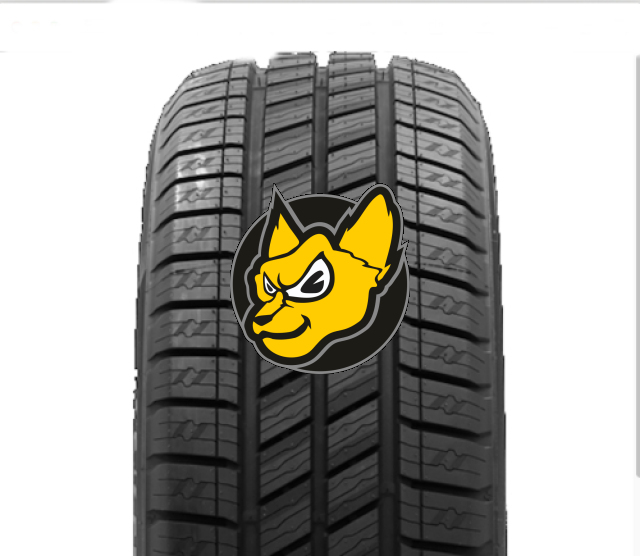 Delinte AW6 VAN 195/65 R16C 104/102T Celoro�n� M+S