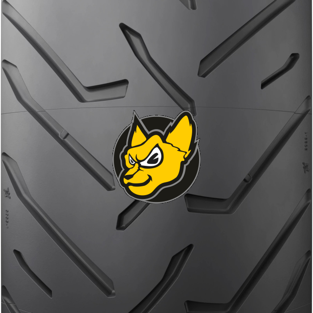 Michelin Anakee Road 120/70ZR19 60W TL/TT