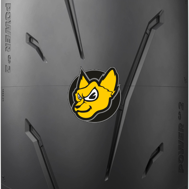Michelin Power GP2 190/50ZR17 (73W) TL