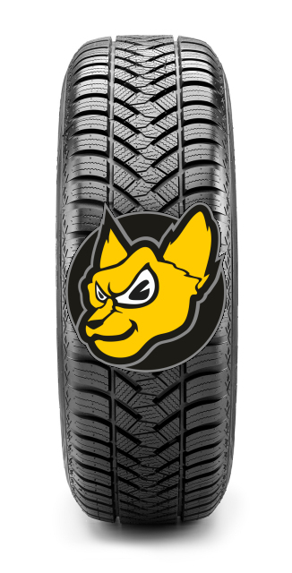 Maxxis All Season AP2 155/70 R 13 75T M+S