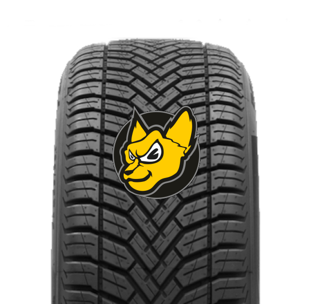 Delinte AW6 215/40 R17 87W XL M+S
