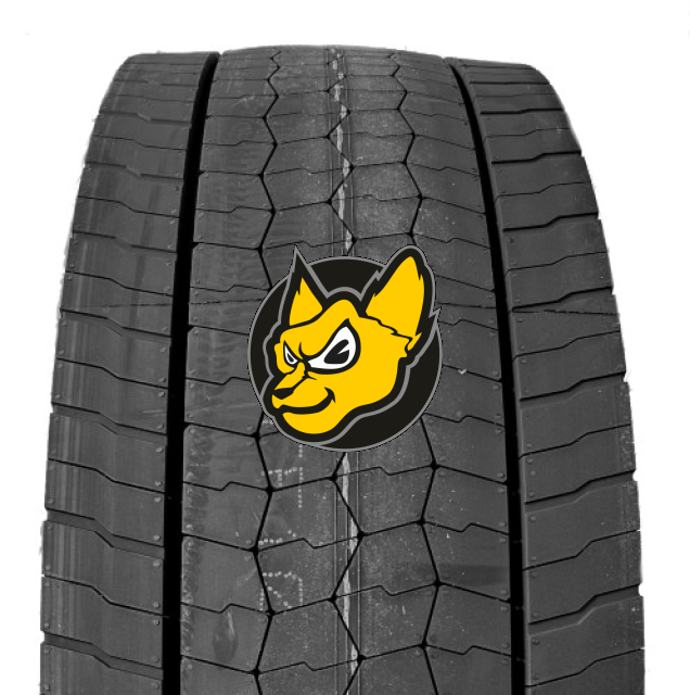 Bridgestone Ecopia Drive Enliten 315/70 R22.50 154/150L Zadn� N�prava M+S 3PMSF (152/148M)
