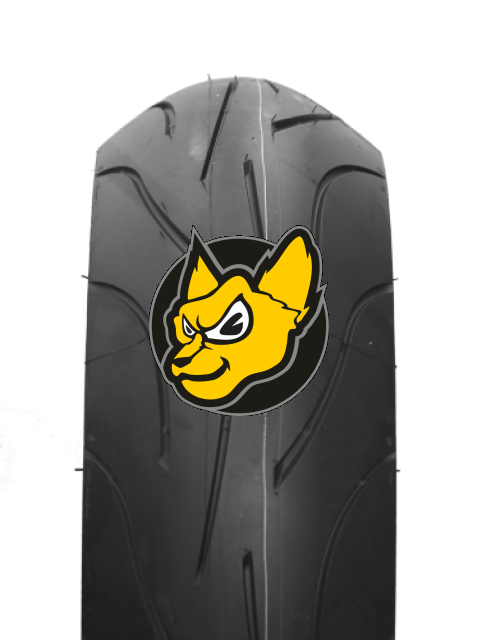 Michelin Pilot Power 180/55 ZR17 73W TL