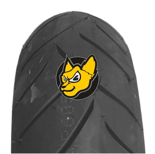 Dunlop Roadsmart R 190/50 ZR17 73W TL Roadsmart Vprodej