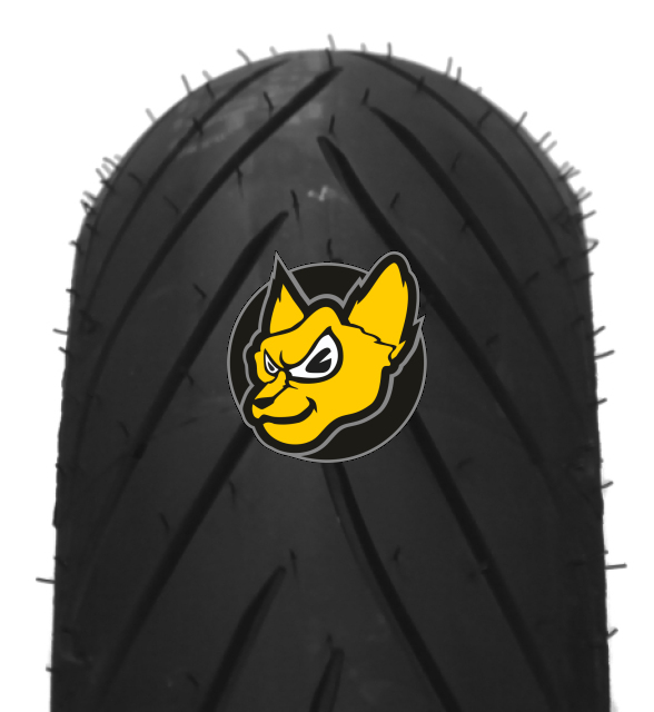 Dunlop Roadsmart II 120/60ZR17 (55W) TL