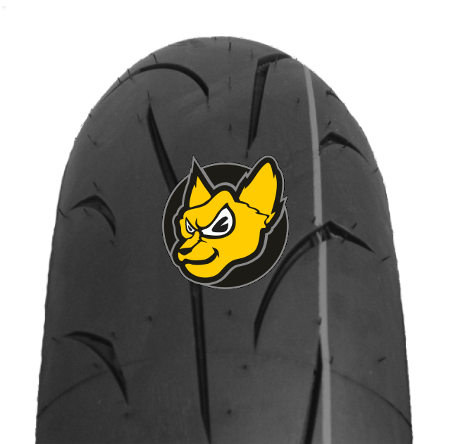 Mitas Sport Force+ 190/55ZR17 TL (75W)