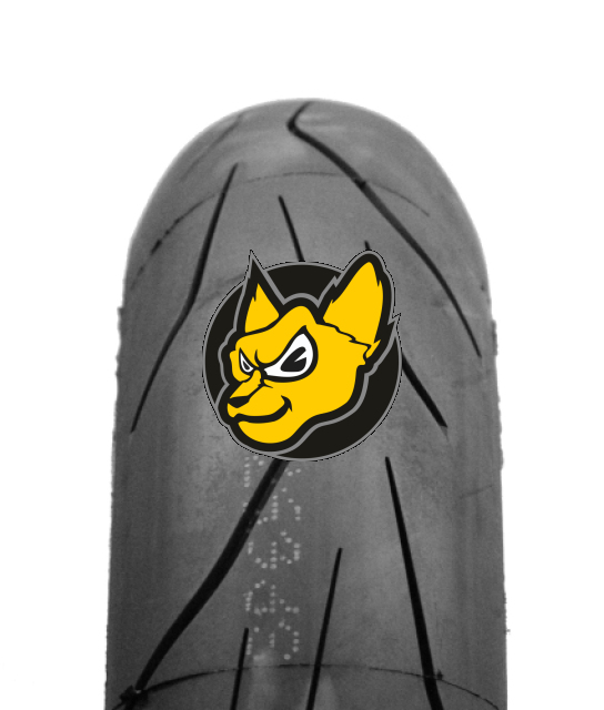 Dunlop Sportsmart TT 200/55ZR17 (78W) TL