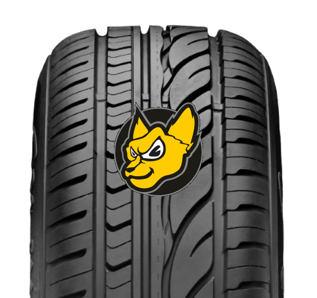 Radar RPX800 165/60 R15 81H XL M+S