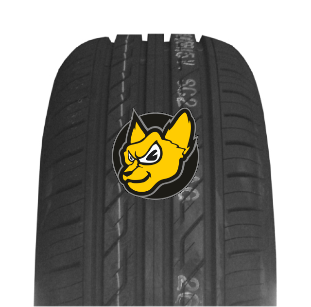 Autogreen Sport Chaser SC2 205/60 R15 91V