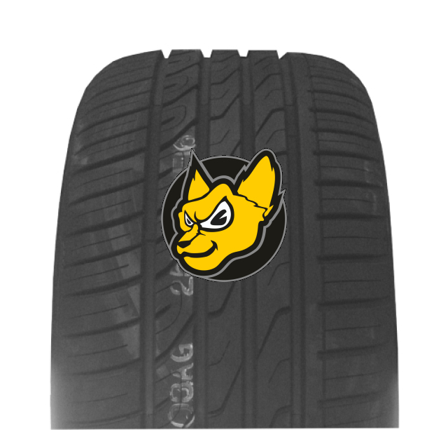 Autogreen Super Sport Chaser SSC5 205/55 R16 94W XL