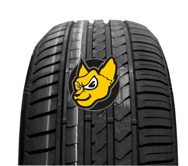 Winrun R330 245/45 R19 102W XL W-silent