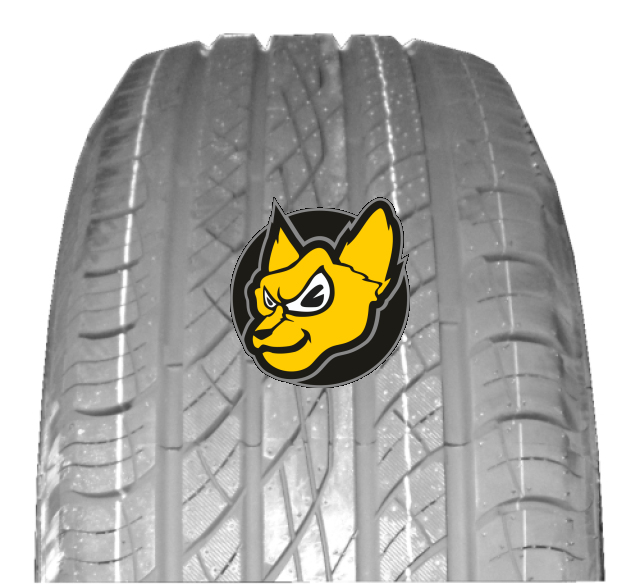 Antares Majoris R1 265/35 R22 102V XL