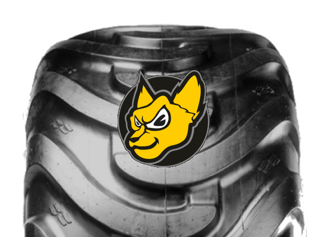 Alliance 343 Forestar (LS-2) 343 600/55 -26.5 /165A8 20PR TL