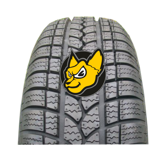 Tigar Winter 1 165/70 R14 81T