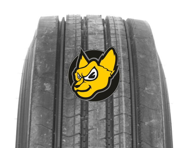 Bridgestone R249 295/60 R22.50 150/147L M+S 3PMSF Ecopia P�edn� N�prava