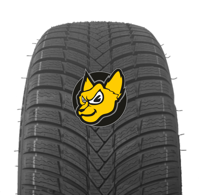 Triangle TW421 Effexwinter 255/55 R19 111V XL M+S