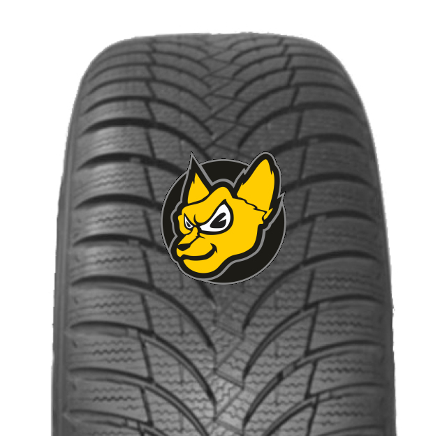 Nexen Winguard Snow`g WH2 195/70 R14 91T
