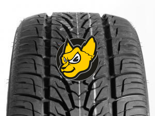 Roadstone Roadian HP 265/60 R18 110H