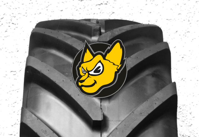 Michelin 600/70 R30 Machxbib 152D TL